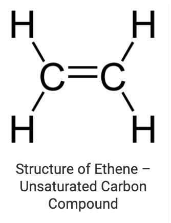 Overview: Carbon Compounds & Covalent Bonding in Carbon Compounds | Science Class 10