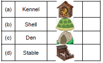 A Little Turtle/The Tiger and the Mosquito - 1 Class 1 Worksheet English Marigold Unit 8