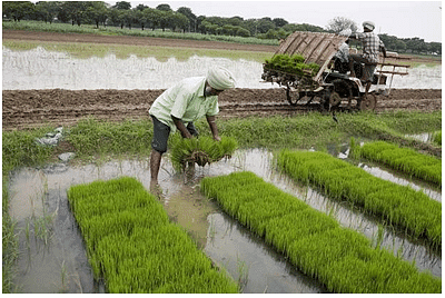 Summary of the Chapter - Crop Production & Management - Class 8