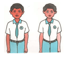 शब्दपरिचयः 1 NCERT Solutions - Class 6