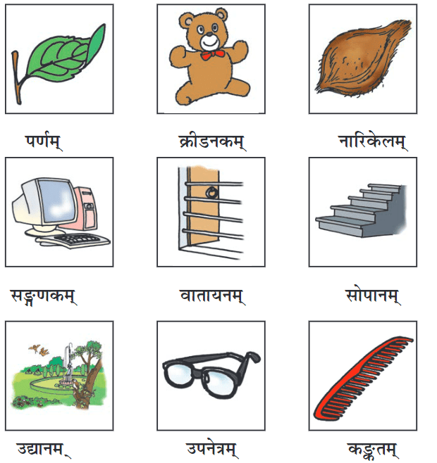 शब्द परिचयः 3 NCERT Solutions - Class 6