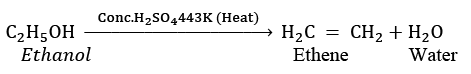 Class 10 Science Chapter 4 Previous Year Questions - Carbon and its compounds