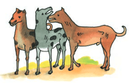 शब्दपरिचयः 1 NCERT Solutions - Class 6