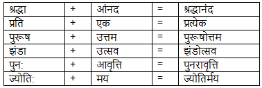 डायरी का एक पन्ना NCERT Solutions | Hindi Class 10
