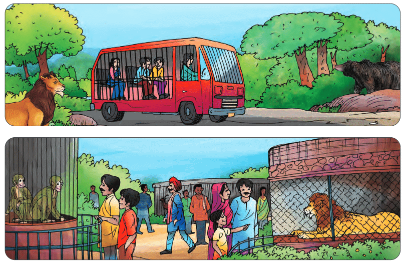 NCERT Solutions for Class 7 Hindi Chapter 9 चिड़िया