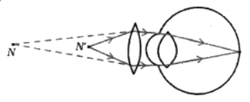 Class 10 Science Chapter 10 Previous Year Questions - The Human Eye and the Colourful World