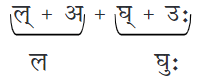 शब्दपरिचयः 1 NCERT Solutions - Class 6