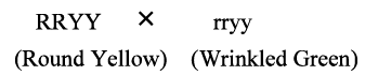 Class 10 Science Chapter 8 Previous Year Questions - Heredity and Evolution