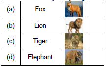 Worksheet: Flying-Man/The Tailor and his Friend - 4