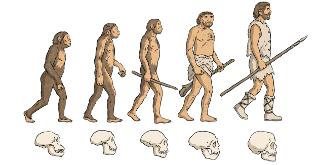 The Story of Human Evolution Chapter Notes | Social Studies Class 5 ICSE