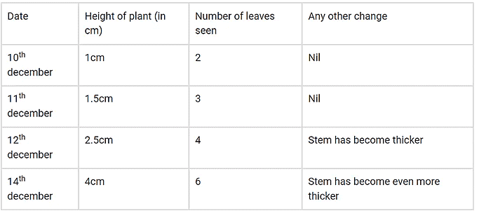 NCERT Solutions for Class 5 EVS Chapter 5 - Seeds and Seeds