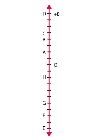 NCERT Solutions for Class 6 Maths - Integers