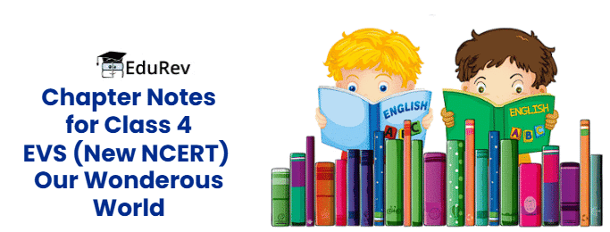 Class 4 EVS NCERT Chapter Notes (Our Wonderous World): New NCERT PDF ...