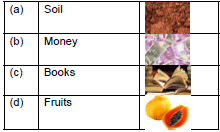 If I Were an Apple/Our Tree - 3 Class 1 Worksheet English Marigold Unit 6