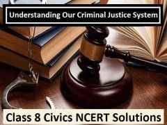 NCERT Solutions for Class 8 Civics Chapter 6 - Understanding Our Criminal Justice System