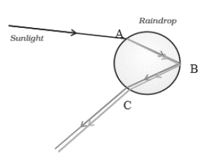 Class 10 Science Chapter 10 Previous Year Questions - The Human Eye and the Colourful World