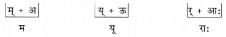 शब्दपरिचयः 1 NCERT Solutions - Class 6