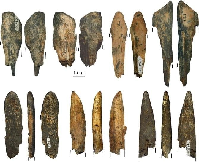 The Story of Human Evolution Chapter Notes | Social Studies Class 5 ICSE