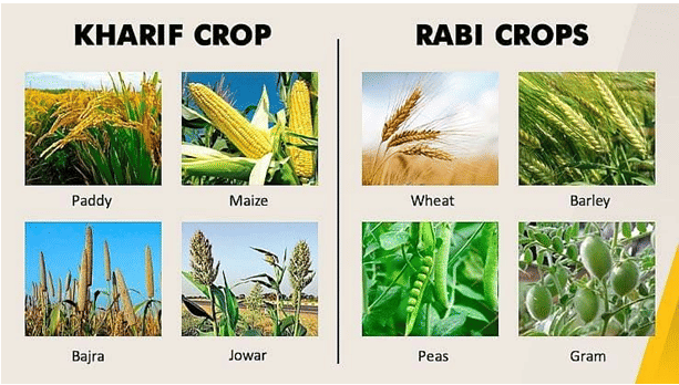 Summary of the Chapter - Crop Production & Management - Class 8