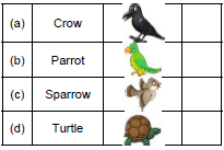 A Little Turtle/The Tiger and the Mosquito - 1 Class 1 Worksheet English Marigold Unit 8