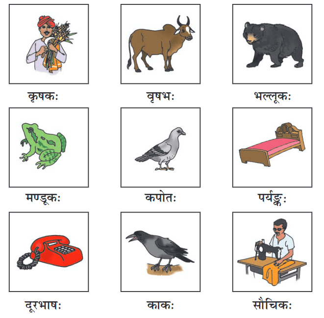 शब्दपरिचयः 1 NCERT Solutions - Class 6