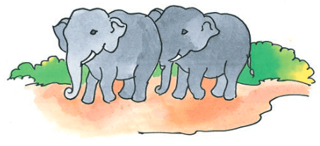 शब्दपरिचयः 1 NCERT Solutions - Class 6