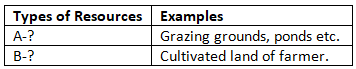 Class 10 Social Science Previous Year Questions - Resources and Development