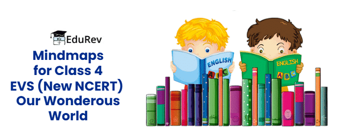 Class 4 EVS NCERT Mind Maps (Our Wonderous World): New NCERT