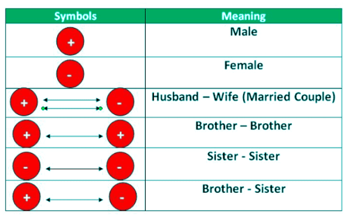 Blood Relations Shortcut Tricks | General Test Preparation for CUET UG - CUET Commerce