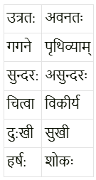विमानयानं रचयाम NCERT Solutions - Class 6