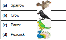 Worksheet: Once I Saw a Little Bird/Mittu and the Yellow Mango - 2