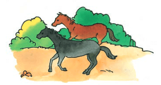 शब्दपरिचयः 1 NCERT Solutions - Class 6
