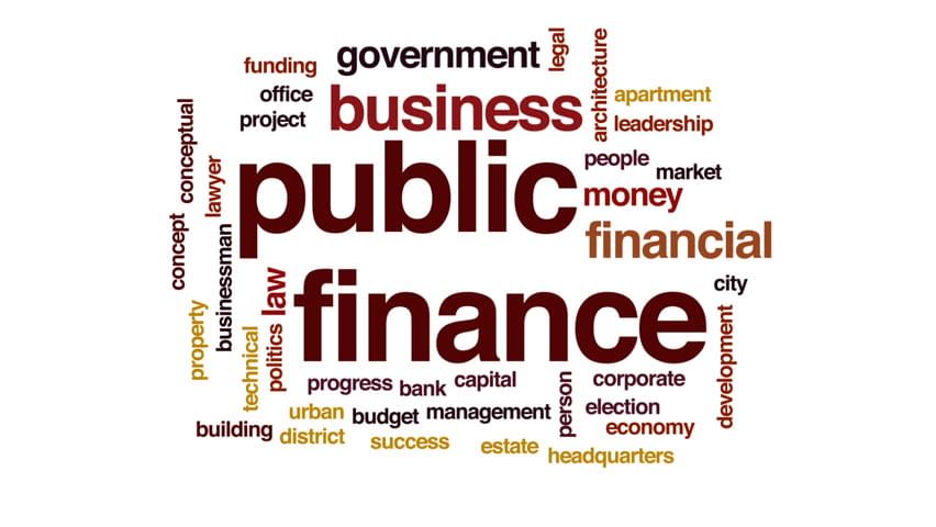 Sources of Public Revenue - Public Finance | Economics for JAMB