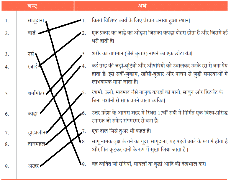 NCERT Solutions for Class 7 Hindi Chapter 5 नहीं होना बीमार