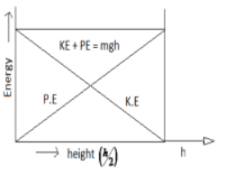 Short & Long Answer Questions: Work, Energy & Power | Physics for ACT