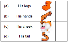 A Little Turtle/The Tiger and the Mosquito - 3 Class 1 Worksheet English Marigold Unit 8
