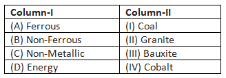 Class 10 Geography Chapter 5 Previous Year Questions - Minerals and Energy Resources