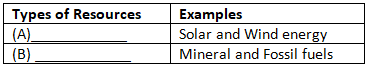 Class 10 Social Science Previous Year Questions - Resources and Development