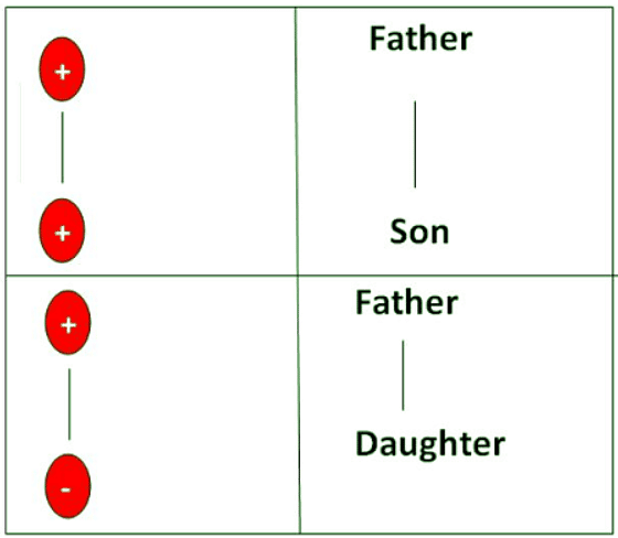 Blood Relations Shortcut Tricks | General Test Preparation for CUET UG - CUET Commerce
