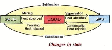 Heat Transfer Chapter Notes | Food & Nutrition for Year 6