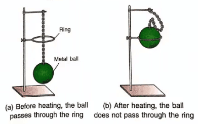 Heat Transfer Chapter Notes | Food & Nutrition for Year 6
