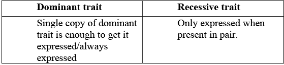 Class 10 Science Chapter 8 Previous Year Questions - Heredity and Evolution
