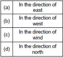 A Kite/Sundari - 1 Class 1 Worksheet English Marigold Unit 7