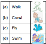 Worksheet: Once I Saw a Little Bird/Mittu and the Yellow Mango - 2