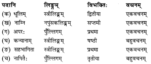 अभ्यासः - सावित्री बाई फुले, रुचिरा, संस्कृत, कक्षा - 8 | संस्कृत कक्षा 8 (Sanskrit Class 8)
