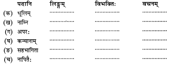 अभ्यासः - सावित्री बाई फुले, रुचिरा, संस्कृत, कक्षा - 8 | संस्कृत कक्षा 8 (Sanskrit Class 8)