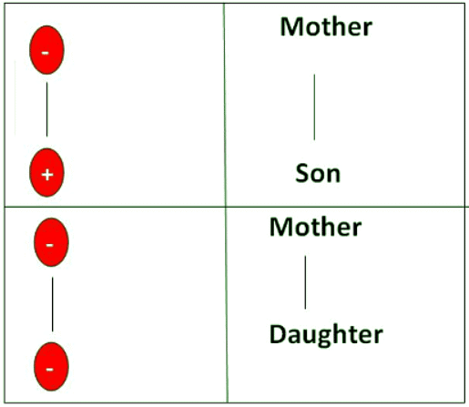 Blood Relations Shortcut Tricks | General Test Preparation for CUET UG - CUET Commerce