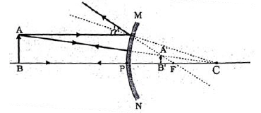 Previous Year Questions 2024