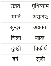 विमानयानं रचयाम NCERT Solutions - Class 6