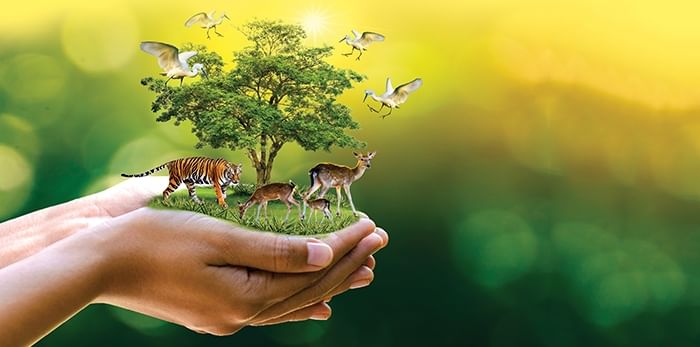 आओ, मिलकर बचाएँ - पठन सामग्री और सार | Hindi Class 11 - Humanities/Arts
